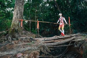 BIB: 
                            <button type="button" onclick="openModal(27316505)" class="btn btn-primary btn-sm float-right btn-popup" data-toggle="modal" data-target=".modal-high-quality">
                        <i class="fas fa-shopping-cart"></i> Add to Cart
                    </button>
                                            <button type="button" onclick="isThisMe(27316505, true)" class="btn btn-success btn-sm float-right btn-popup btn-isme hidden" data-toggle="tooltip" data-placement="bottom" title="นี่คือรูปของคุณใช่ไหม คลิกที่นี่เพื่อเอาเข้าอัลบั้ม">
                        <i class="fas fa-plus"></i> Add to album
                    </button>
                    <button type="button" onclick="isThisMe(27316505, false)" class="btn btn-warning btn-sm float-right btn-popup btn-isnotme hidden">
                        <i class="fas fa-ban"></i> Remove from album
                    </button>